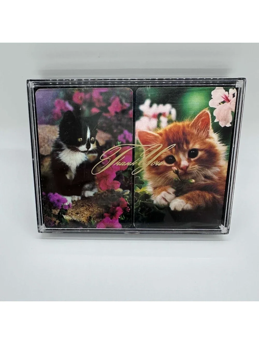 Hallmark Kitten Playing Cards 2 Complete Decks Cat Design Clear Case EUC